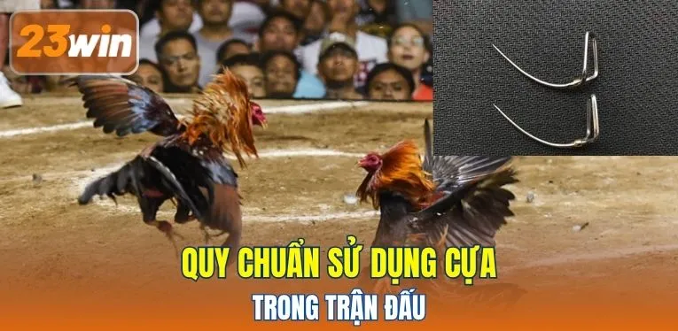 Quy chuẩn sử dụng cựa trong trận đấu